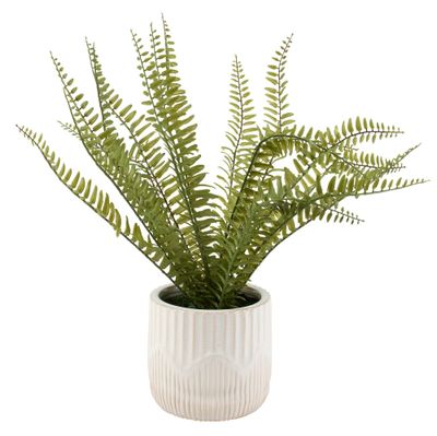 Botanical Fern Planter