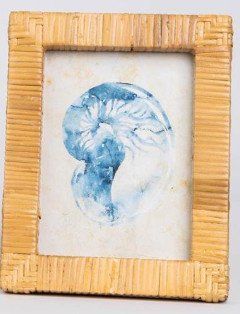Framed Art - Seashells in Rattan Frame Md