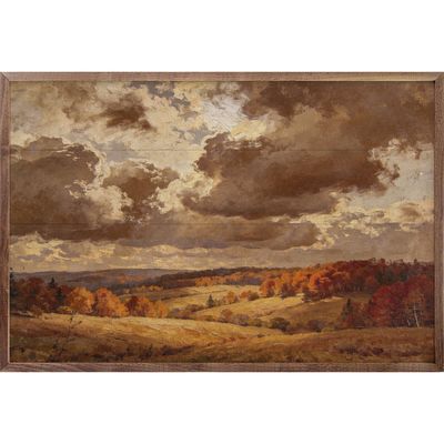 Flyover Autumn Woods