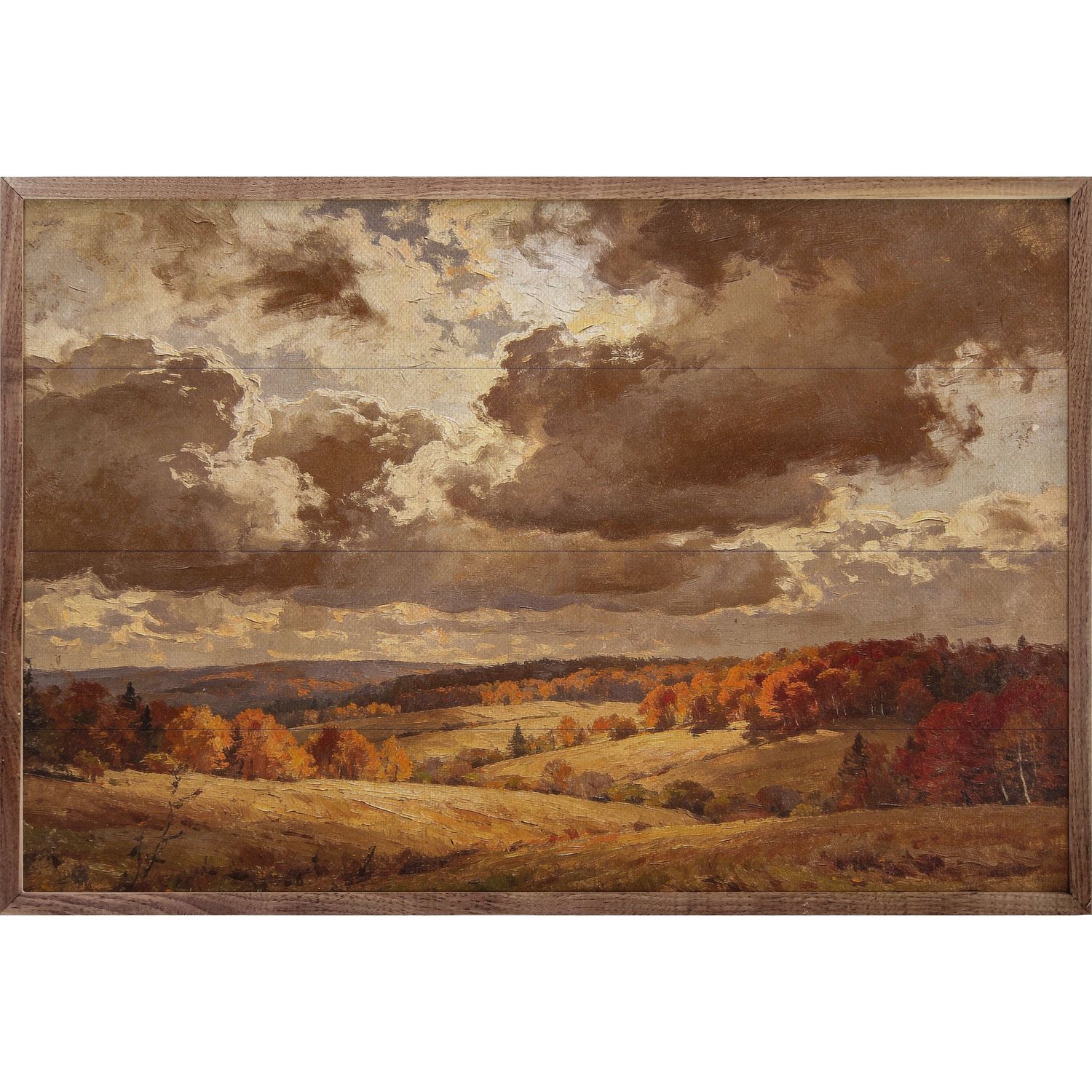 Flyover Autumn Woods, Size: 8x5