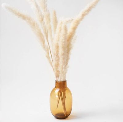 Amber Bottle 5.5"