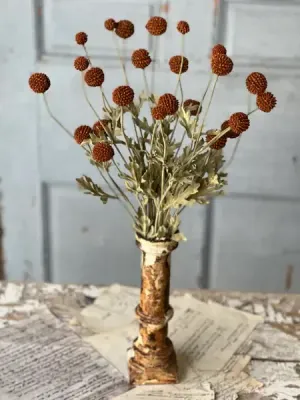 Fall Wind Dancer Bush Brown
