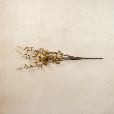 36" Yellow Seeded Wax Flower Spray