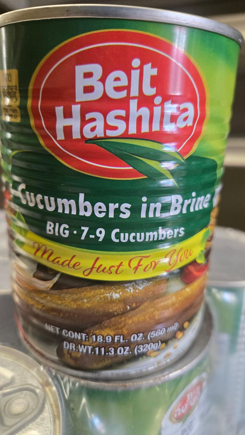 Beit Hashita, Cucumbers in brine 7-9 E
