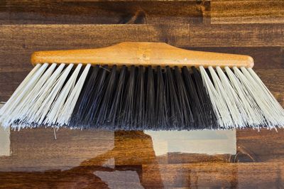 Shiny, Broom Head Melisa - Colored