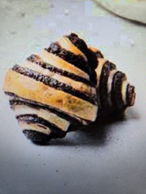Stern's Chocolate Rugelach