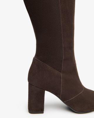 Brynn Suede Stretch Tall Boot