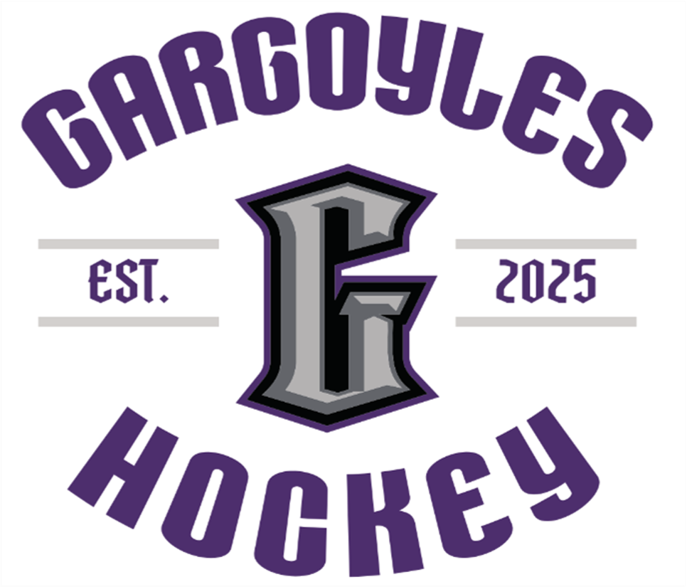 Gargoyles Next Level Charcoal Est G T-shirt
