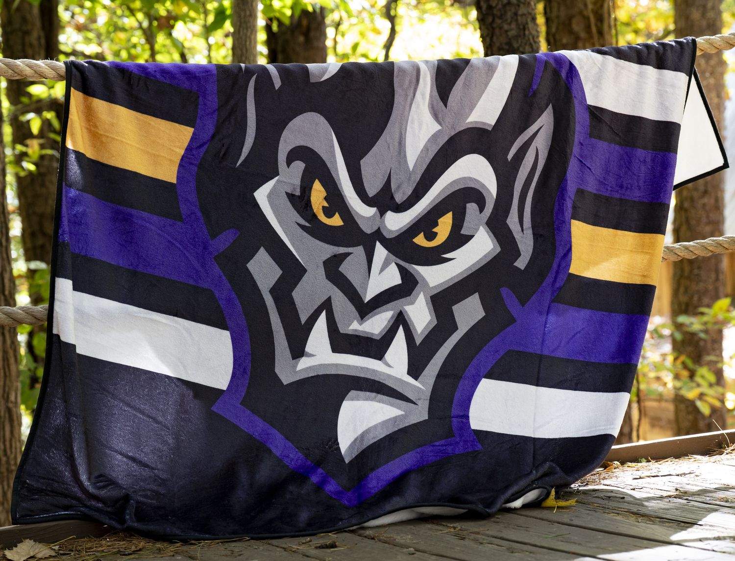 Greensboro Gargoyles Blanket