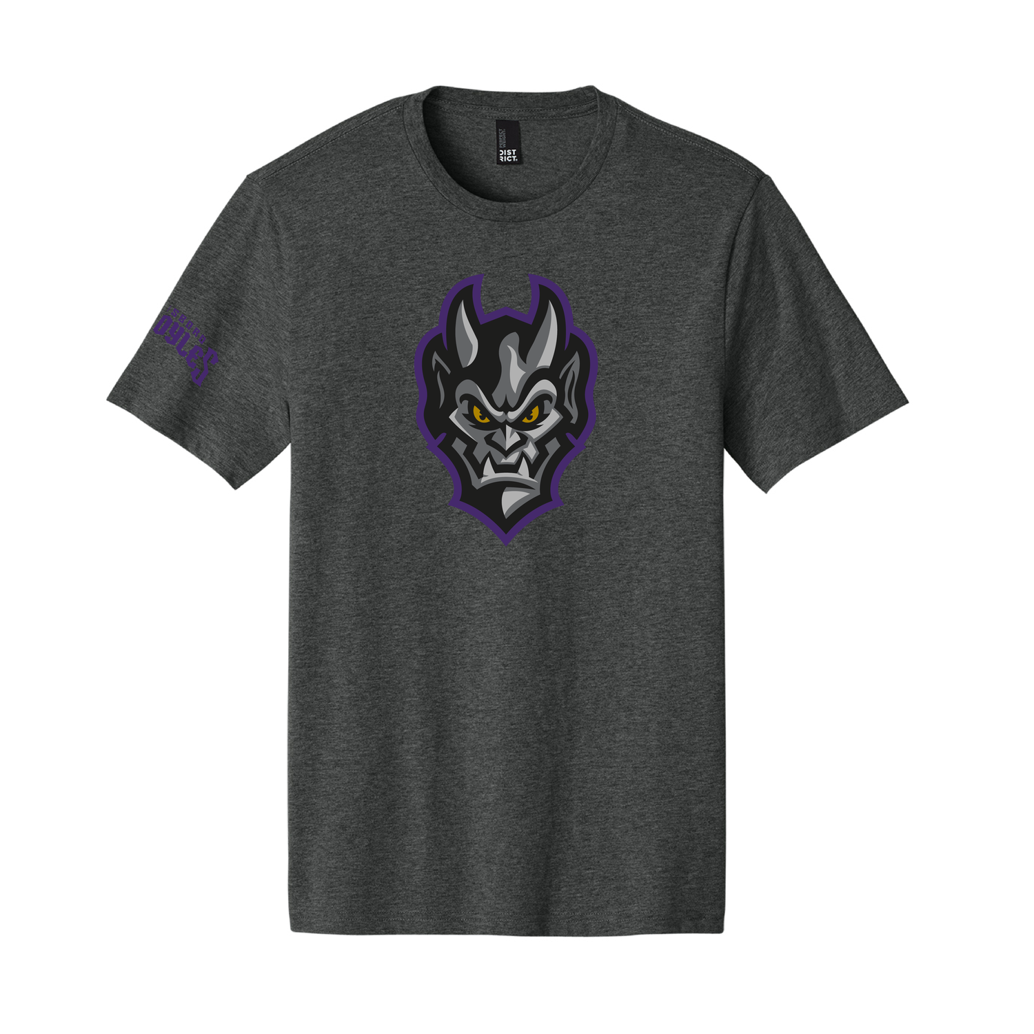 Greensboro Gargoyles Perfect Weight Face Logo T-shirt in Charcoal, Size: S