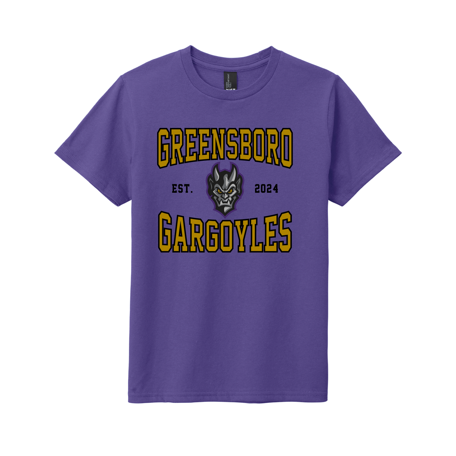 Greensboro Gargoyles Youth Face Established Graphic T-shirt in Purple, Size: XS