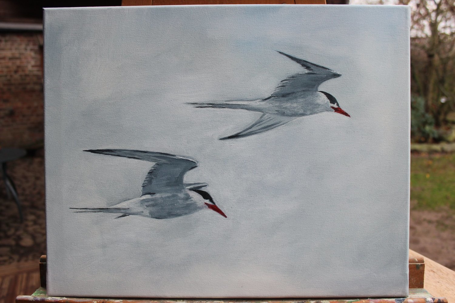 Seeschwalben, Öl auf Leinwand, 40 x 50 cm