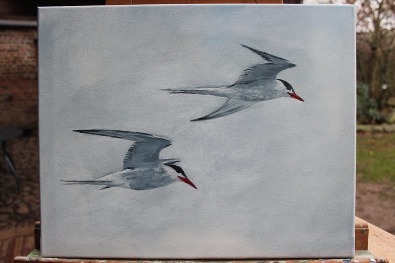 Seeschwalben, Öl auf Leinwand, 40 x 50 cm Seeschwalben, Öl auf Leinwand, 40 x 50 cm