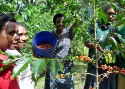 PNG&#39;s Coffee