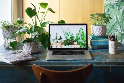 Flowers &amp; Decor