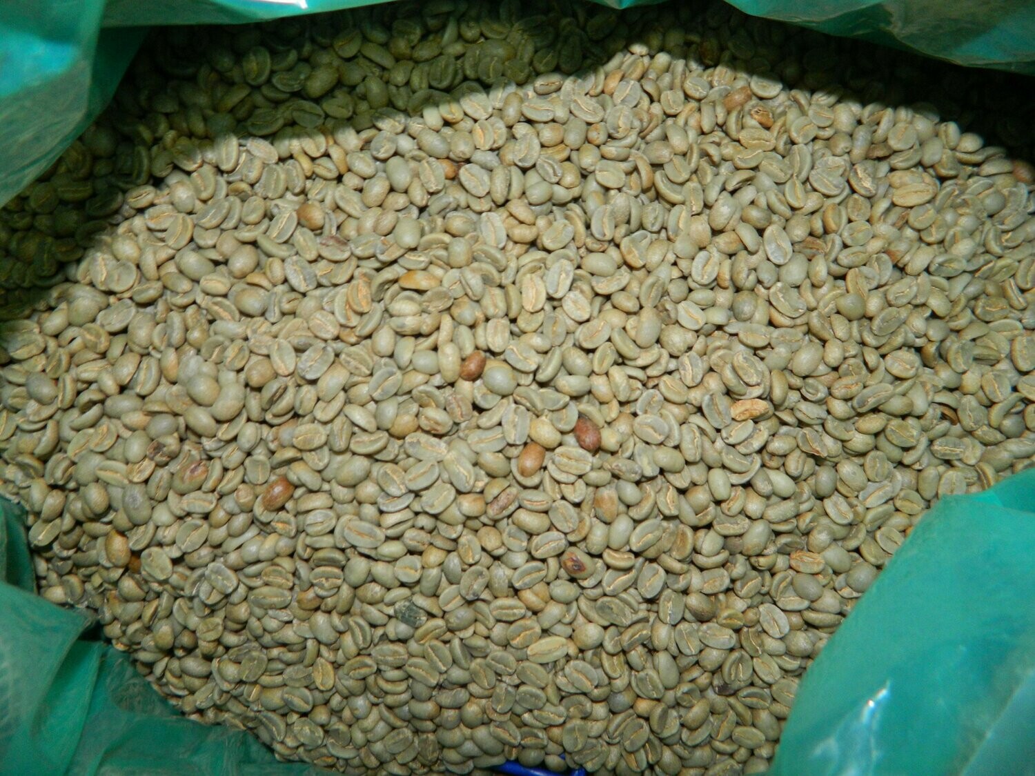 Organic Raw Coffee Green Beans
