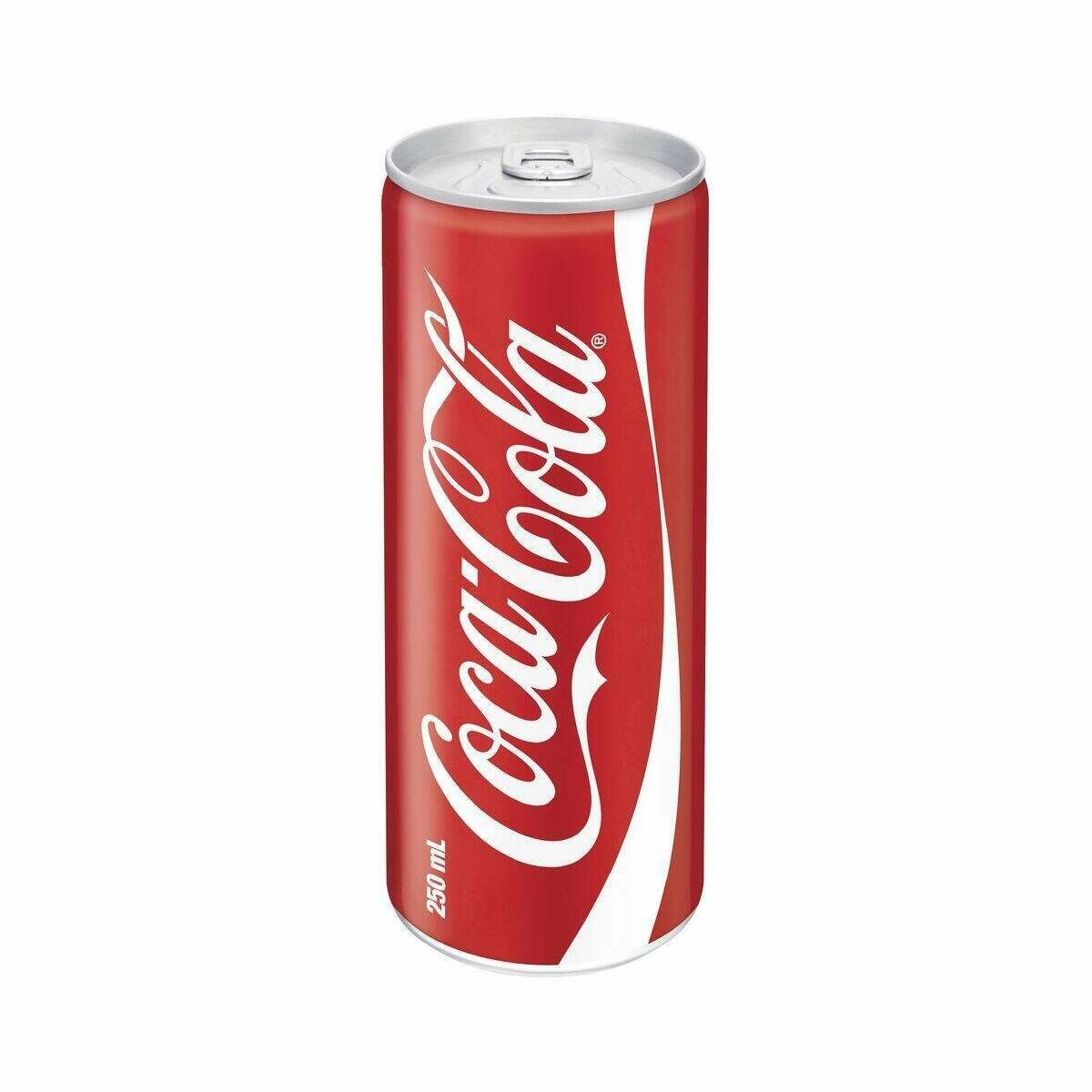Coke Can 330 ml