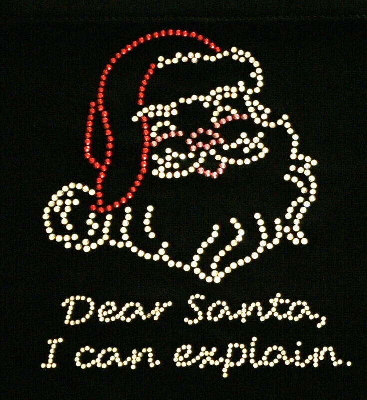 Dear Santa I can explain