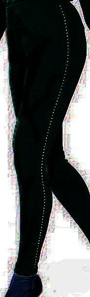 Jostar Leggings w Blinged Seams