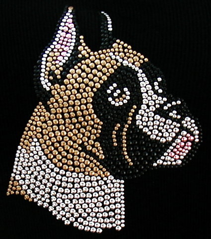 Boxer