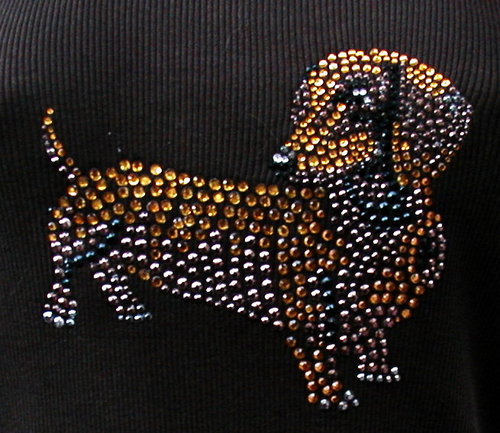 Dachshund