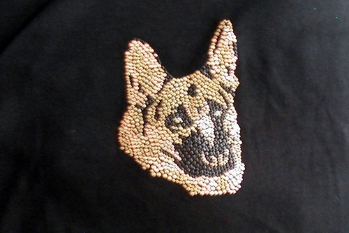 German Shepard