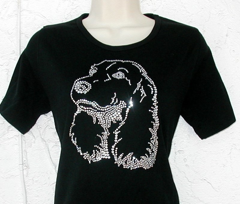 Cocker Spaniel