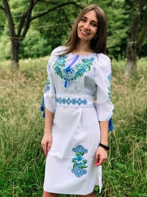Вишиванка, жіноча вишивана сукня з квіткоми та геометричним узором (Арт. 02331