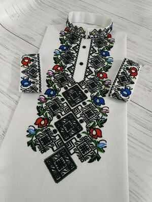 Вишиванка, чоловіча вишита сорочка (Арт. 02353)