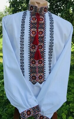 Вишиванка, чоловіча вишита сорочка (Арт. 02373)