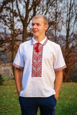 Вишиванка ручної роботи, чоловіча &quot;Український вектор&quot; (Арт. 00588)