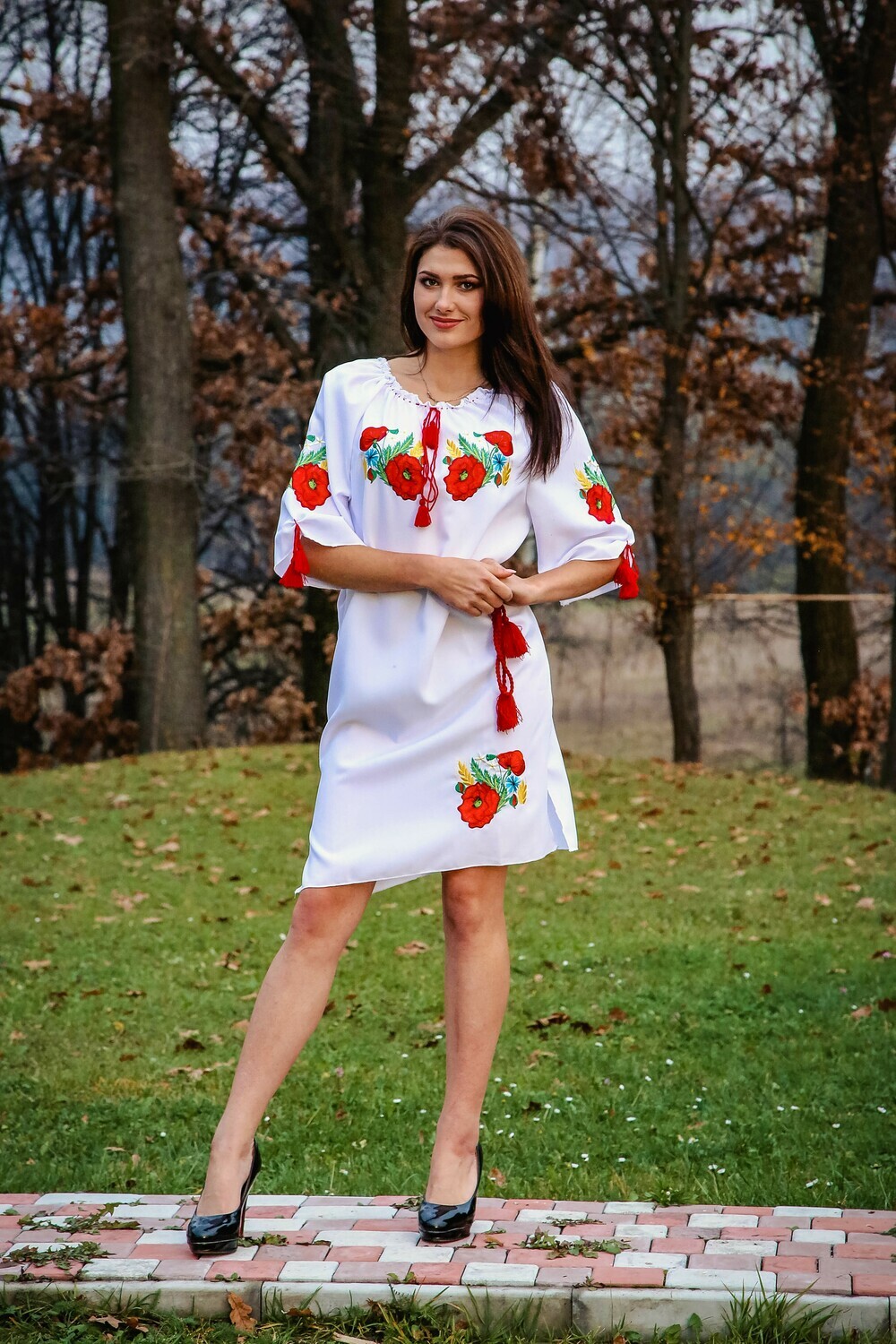 Вишиванка, жіноча вишивана сукня з квітами (Арт. 00331)