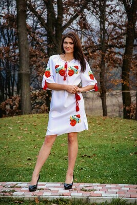 Вишиванка, жіноча вишивана сукня з квітами (Арт. 00331)