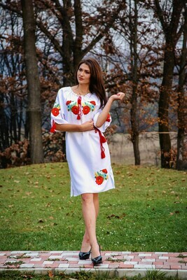Вишиванка, жіноча вишивана сукня з квітами (Арт. 00331)