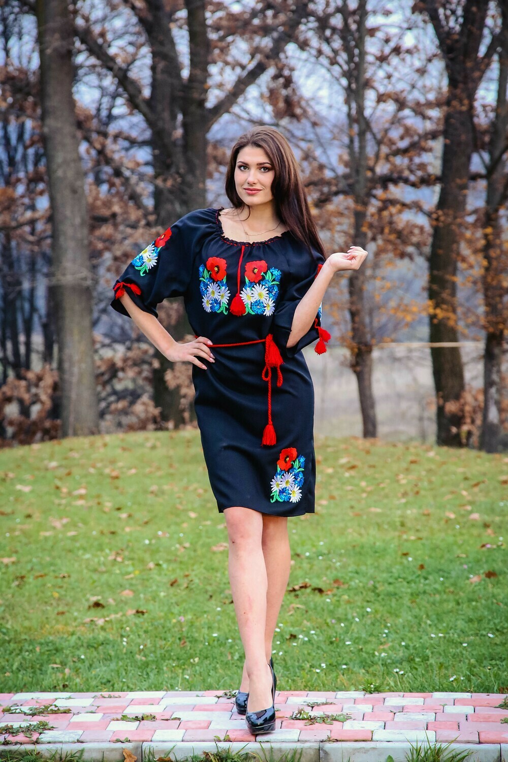 Вишиванка, жіноча вишивана сукня (Арт. 02478)