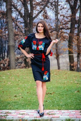 Вишиванка, жіноча вишивана сукня (Арт. 02478)