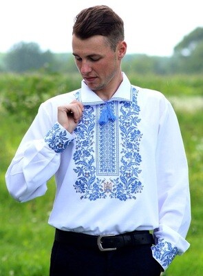Вишиванка, чоловіча вишита сорочка "Чари" (Арт. 01591)