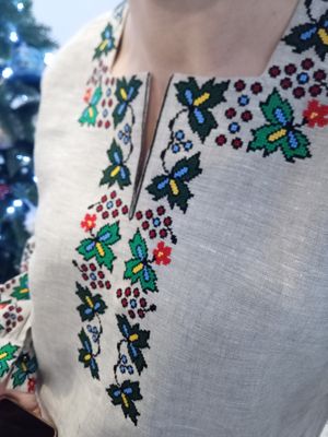 Вишиванка, жіноча вишивана блузка (Арт. 03424)