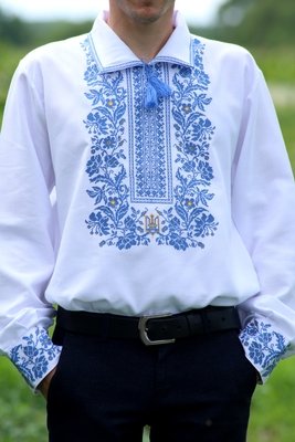 Вишиванка, чоловіча вишита сорочка "Чари" (Арт. 01591)