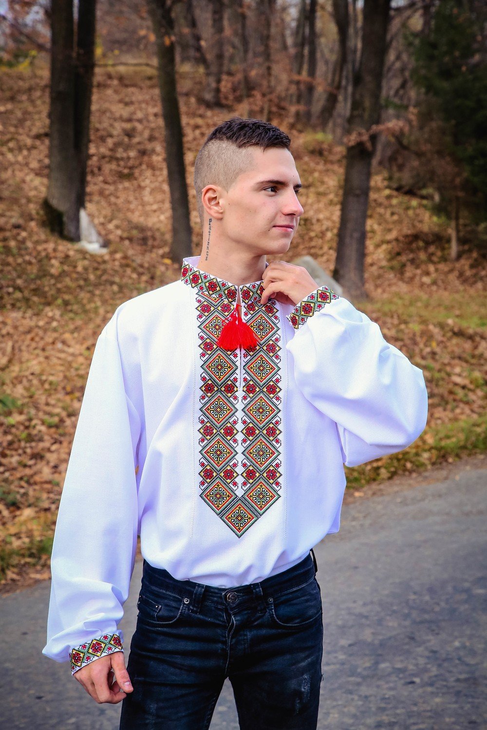 Вишиванка, чоловіча вишита сорочка (Арт. 02075)