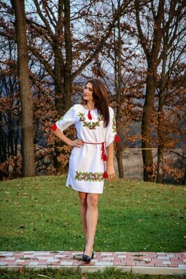 Вишиванка, сукня вишивана "Дубок і калина" (Арт. 00467)