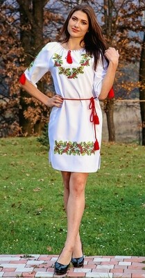 Вишиванка, сукня вишивана "Дубок і калина" (Арт. 00467)