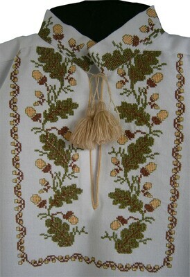 Вишиванка дитяча "Дубок" (Арт. 00821)