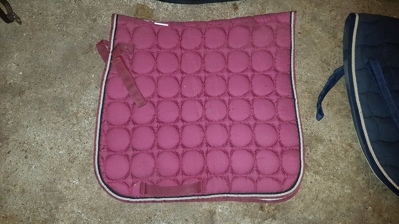Active Riding Wear dressyrschabrak
