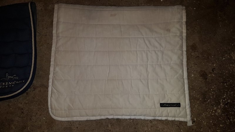 Horsewear saddle pad