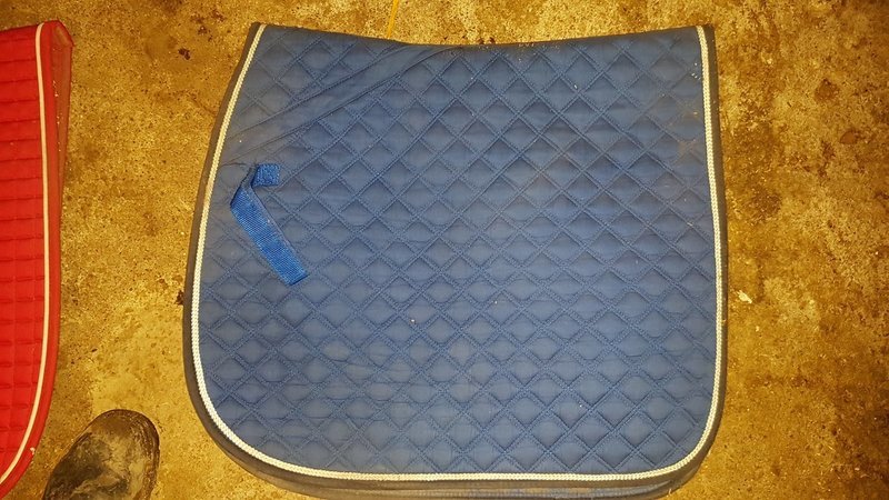 Globus dressyrschabrak