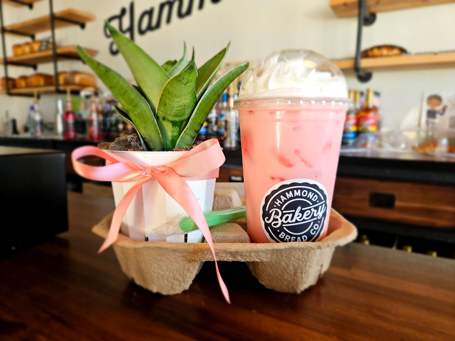 Drink/ Plant combo! 