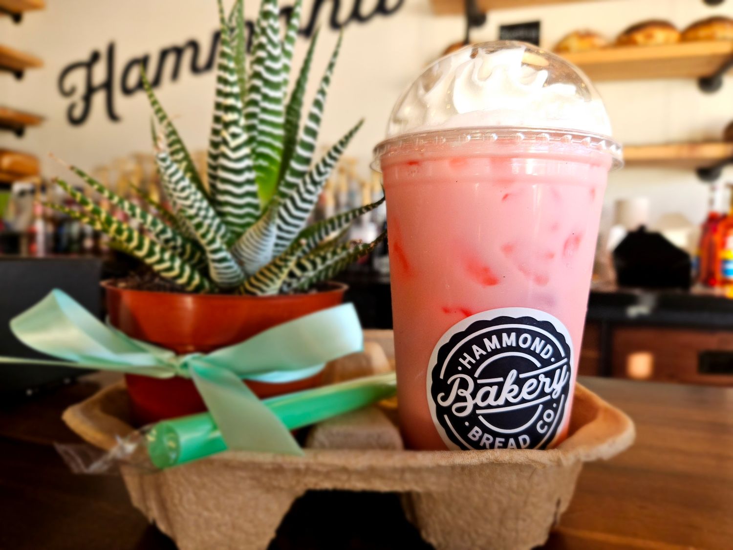 Drink/ Plant combo! 