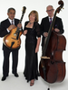 The Janet Seidel Trio