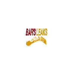 Bars Leak #1196